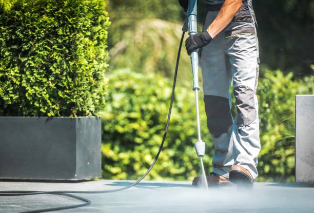 Best Roof Cleaning and Mildew Removal in Gooding, ID